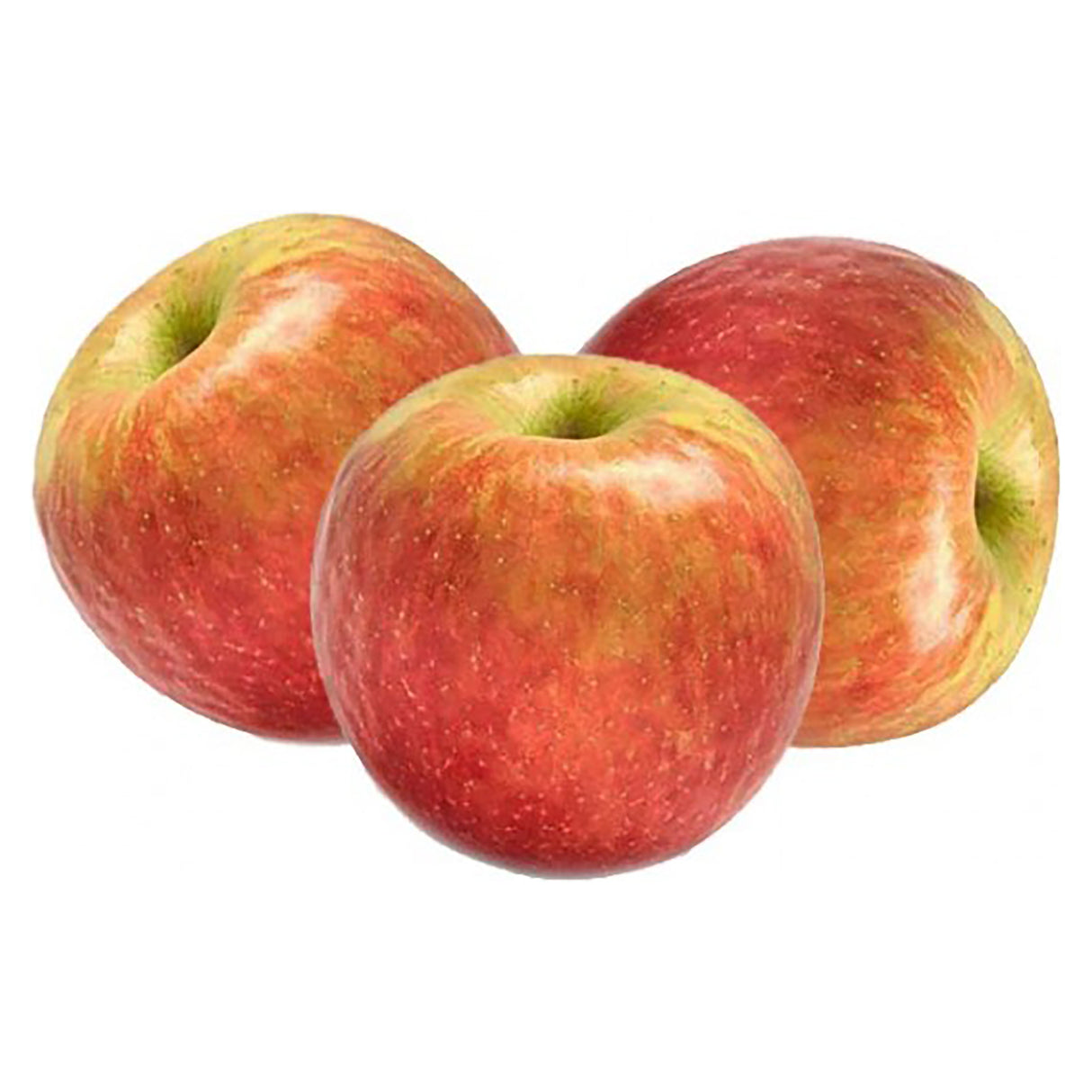 Manzana Gala Bag 2 lb./Gala Apple Bag 2 lb.