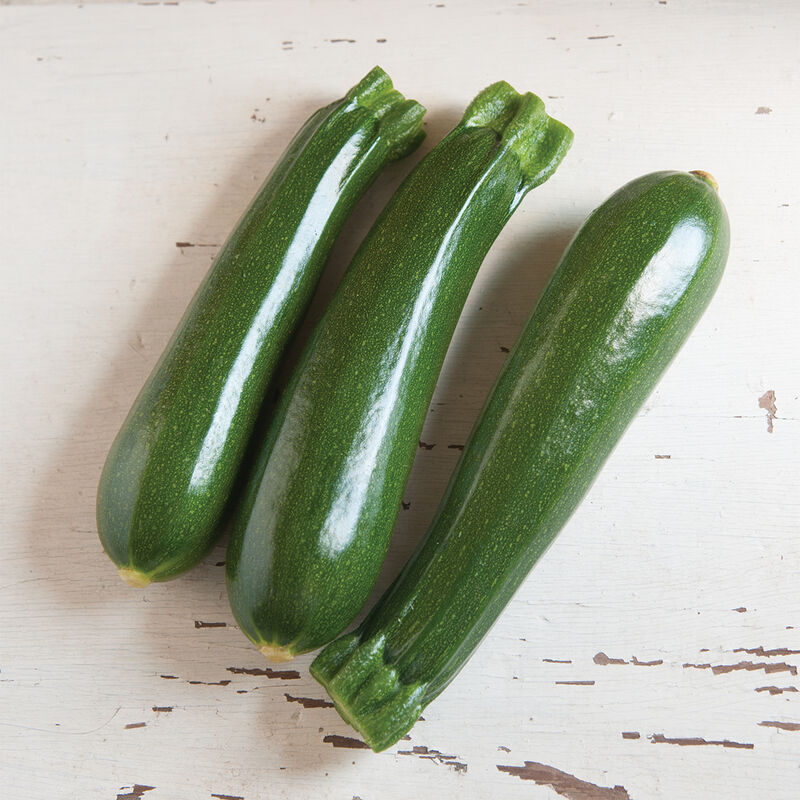 Zucchini Squash 3 pk./Calabacín 3 unidades
