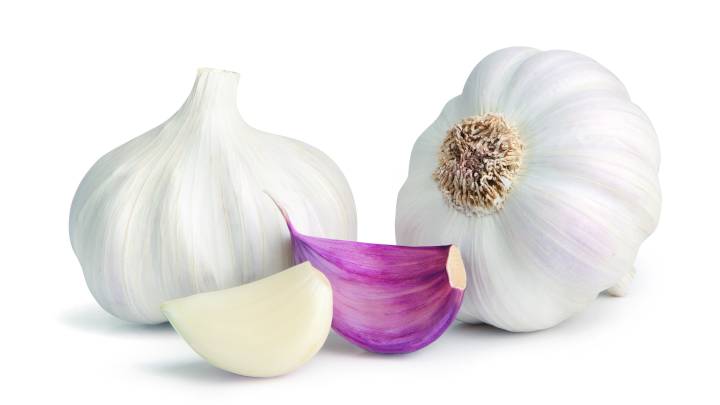 Ajo ea./Garlic ea.