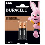 Pilas Duracell AAA de 2 u.