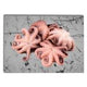 Pulpo Per lb./Octopus Per pound M0205