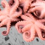 Pulpo Per lb./Octopus Per pound M0205