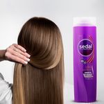 Champú Sedal Liso Perfecto / Shampoo Sedal Liso Perfecto