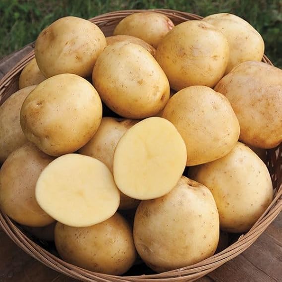Papa Yukon Per lb./Yukon Potato Per lb.