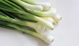Cebolla Cambray ea./Cambray onion ea.