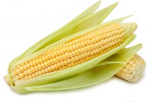 Elote ea./Corn ea.